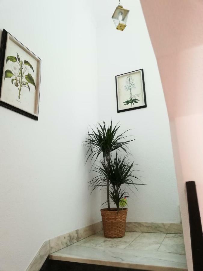 Arronches Villa المظهر الخارجي الصورة