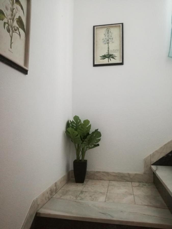 Arronches Villa المظهر الخارجي الصورة
